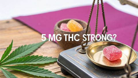 a scale with THC gummies sitting on the platforms