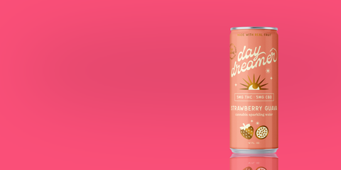 Canned drink with 'day dreamer' branding on a pink background