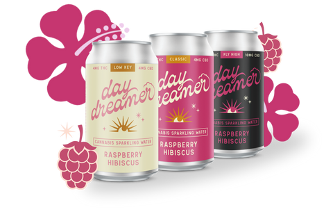 Three cans of 'Day Dreamer' raspberry hibiscus on a white background with pink flowers.