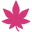 Pink hemp leaf on a white background